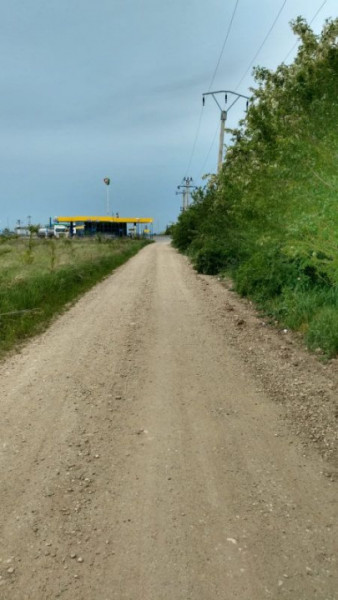 PADURE 24.6 Ha - Autostrada A1 ( Bucuresti - Pitesti ) 