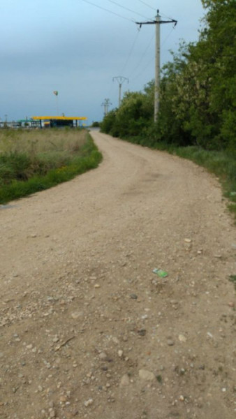 PADURE 24.6 Ha - Autostrada A1 ( Bucuresti - Pitesti ) 