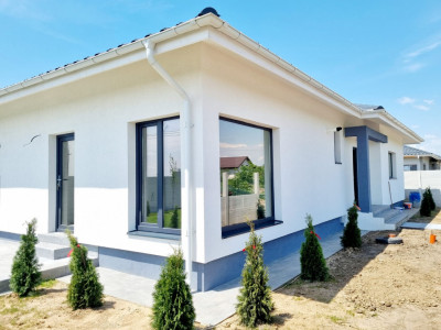 Casa individuala Domnești 